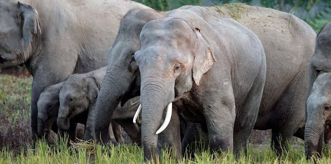 07:10: 360° Reportage | Arte | 11/29 2025