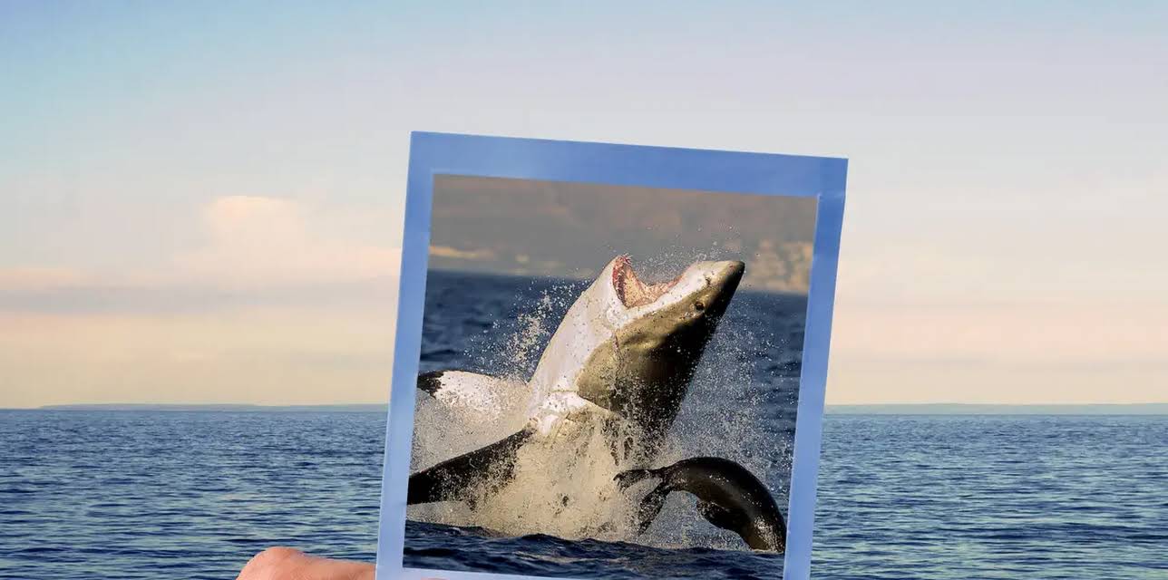 Sharksanity: The Return (2015)