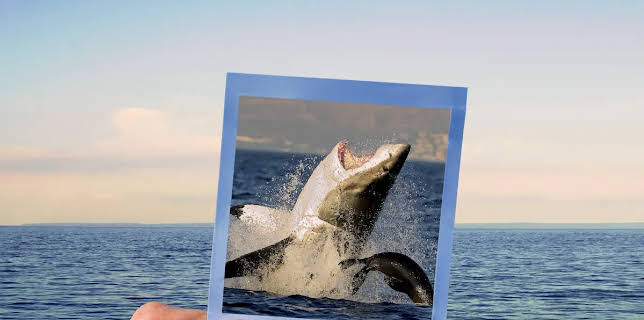 Sharksanity: The Return (2015)