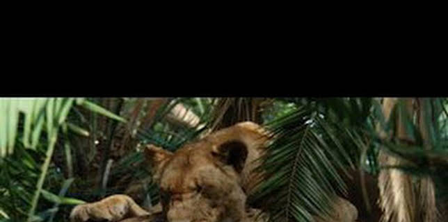 13:50: Malika: la reina leona: La muerte llama a la puerta | Nat Geo Wild | 12/13 2025