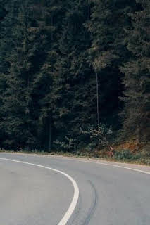 17:45: UCI Women World Tour (T2026): Tour de Flandes F | Eurosport 2 | 3/29 2026