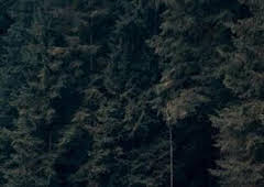 UCI World Tour (T2026): Omloop Nieuwsblad M