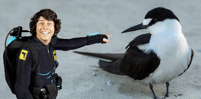 12:15 PM: Andy's Aquatic Adventures (S2) | Cbeebies | 12/7 2025