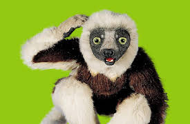 Zoboomafoo Season 1: The Nose Knows