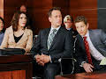 The Good Wife