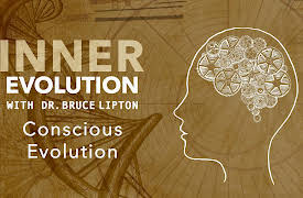 Inner Evolution: Conscious Evolution