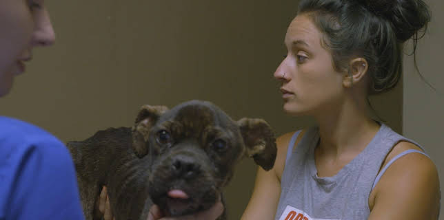 06:50: Pit Bulls & Parolees (S9 E11) (S9) | Animal Planet | 11/22 2025