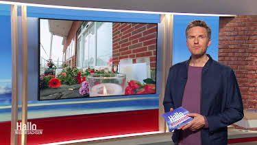 11:00: Hallo Niedersachsen | Radio Bremen | 3/26 2026