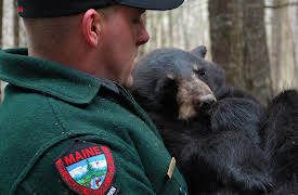 North Woods Law: Maine Freeze