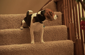 Extreme Couponing: Episode 103