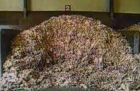 Big Little Crimes Season 1: Winner Winner