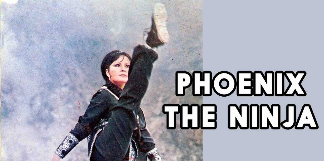 Phoenix The Ninja (1981)