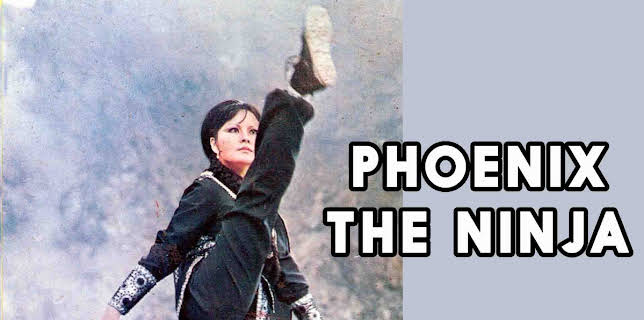 Phoenix The Ninja (1981)
