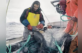 Arctic Waters: New Blood