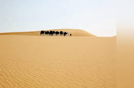 Colors of the Deserts: The Yellow Sahara