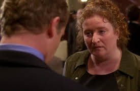 The Guardian Season 1: The Funnies