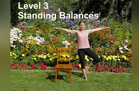 Yoga for Seniors with Jane Adams (2nd Edition): 3 Complete Practices: Level 3 Standing Balances