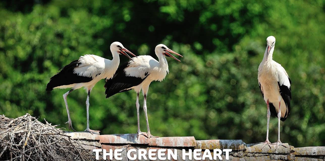 The Green Heart of Croatia (2014)