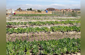 Taste Hunters: South Africa