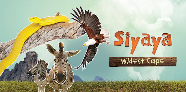 Siyaya - Wildest Cape