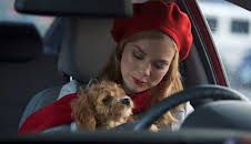 A Puppy for Christmas