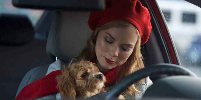 07:30: A Puppy for Christmas | TV8 | 11/18 2025