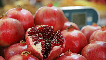 10:00: Schnittgut. Alles aus dem Garten | ARD Alpha | 3/27 2026