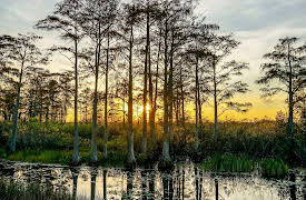 Stories of America’s National Parks: The Power of Water in the Everglades