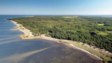 20:15: Unterwegs im Baltikum | Arte | 4/30 2026