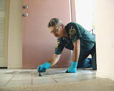 Medical Detectives - Geheimnisse der Gerichtsmedizin