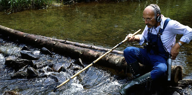 08:20: Löwenzahn Classics | ZDFneo | 11/28 2025