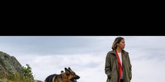 21:05: Hudson y Rex (T4): Ep.8 Muerte súbita | AXN | 2/4 2026