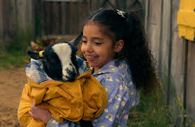 Lovely Little Farm: Rainy Day