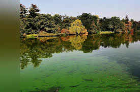 Biochemistry and Molecular Biology: How Life Works: Energy Harvesting in Animals and Plants