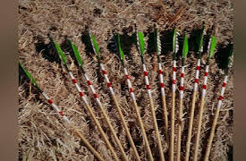 No Kitchen Required Season 1: New Mexico