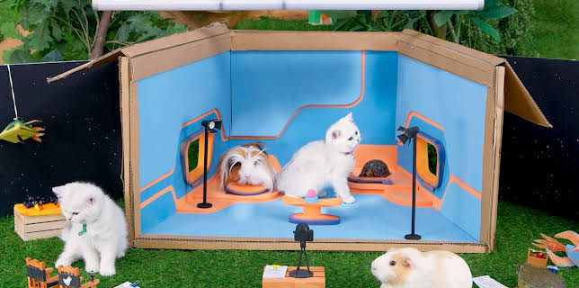 17:20: Rosin og Bolle: Sokk lager film | NRK Super | 12/15 2025