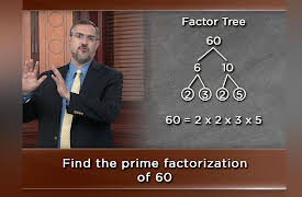 Mastering the Fundamentals of Mathematics: Number Theory - Prime Numbers and Divisors