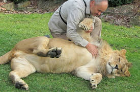 Preposterous Pets: Episode 1