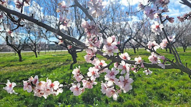 18:15: Genuss mit Zukunft | SR Fernsehen | 5/1 2026