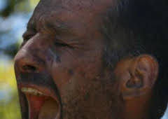 Aventura en pelotas: La fruta prohibida