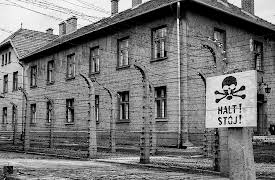 A History of Eastern Europe: The Holocaust and the Nazi Racial Empire