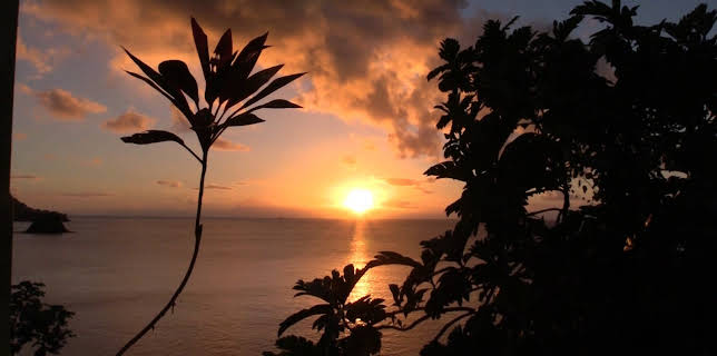 11:35: Team Bachstad i Karibia | NRK 2 | 3/23 2026