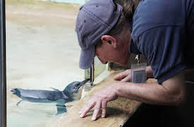 The Bronx Zoo: Episode 4