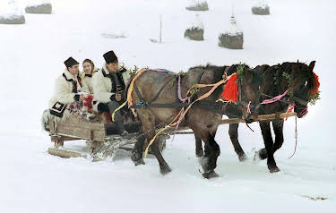 10:20: Karpaten - Leben in Draculas Wäldern | 3SAT | 4/27 2026