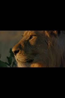 04:30: Savage Kingdom: La jauría salvaje | Nat Geo Wild | 10/13 2026
