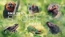 Små dyr, store reiser: Overleve