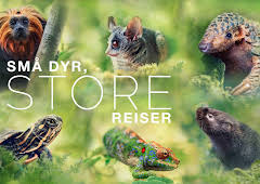 Små dyr, store reiser: Føre slekta vidare