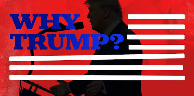 Why Trump? (2024)