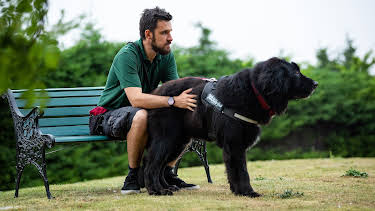 7:55 PM: The Dog House | More 4 | 9/24 2026