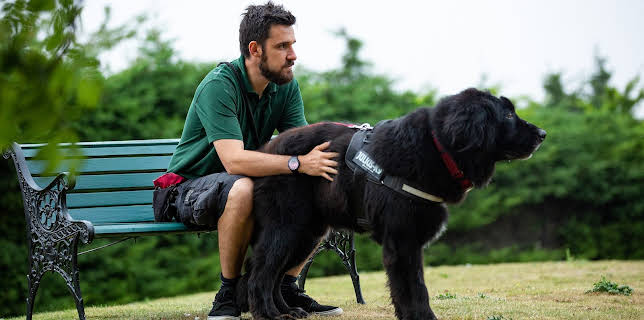 7:55 PM: The Dog House | More 4 | 1/4 2026